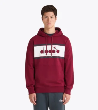 Sudadera con capucha y logotipo Sudadera con capucha y bloques de color